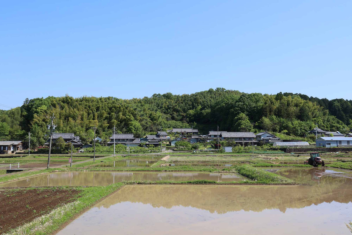 里山の木を暮らしの道具に。KAMOSHIKA CRAFTを始めた理由